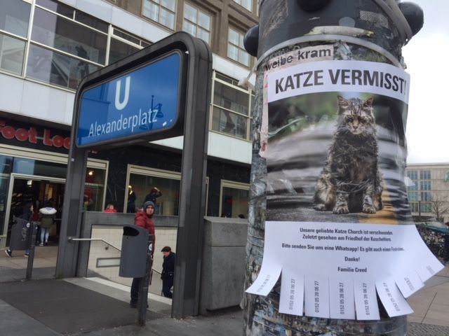 Guerilla & Flyer: „Katze vermisst“ – Alexanderplatz – Berlin